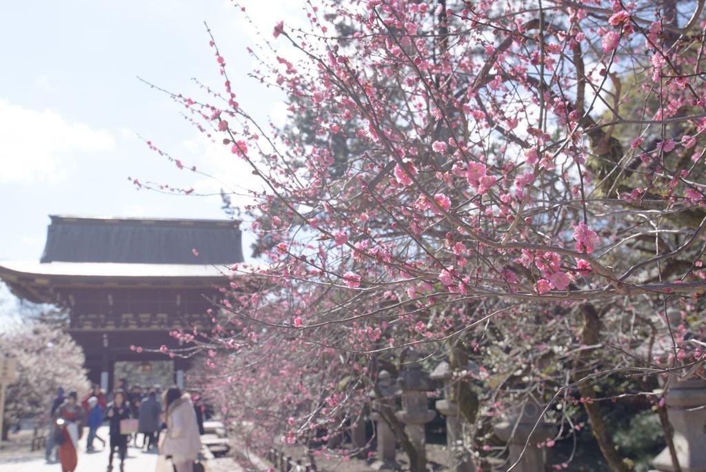 Villa Le Machiya Kamishichiken Kyōto Esterno foto